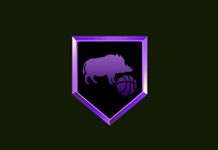 Could This be the Next Evolution of NBA 2K Badges? (20 New Badges)